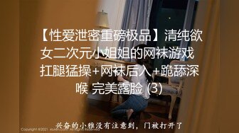 【性爱泄密重磅极品】清纯欲女二次元小姐姐的网袜游戏 扛腿猛操+网袜后入+跪舔深喉 完美露脸 (3)