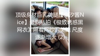 顶级身材巨乳美腿【奈汐酱Nice】最新私拍《极致诱惑黑网衣》隔着网纱露美鲍 尺度逐渐增大 (2)