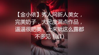 【金小依】秀人网新人美女，完美奶子，大尺度漏点作品，逼逼很肥美，上来就这么露都不多见！ (1)