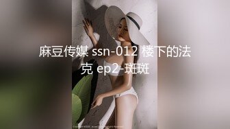 麻豆传媒 ssn-012 楼下的法克 ep2-斑斑