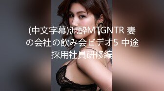 (中文字幕)泥酔MTGNTR 妻の会社の飲み会ビデオ5 中途採用社員研修編